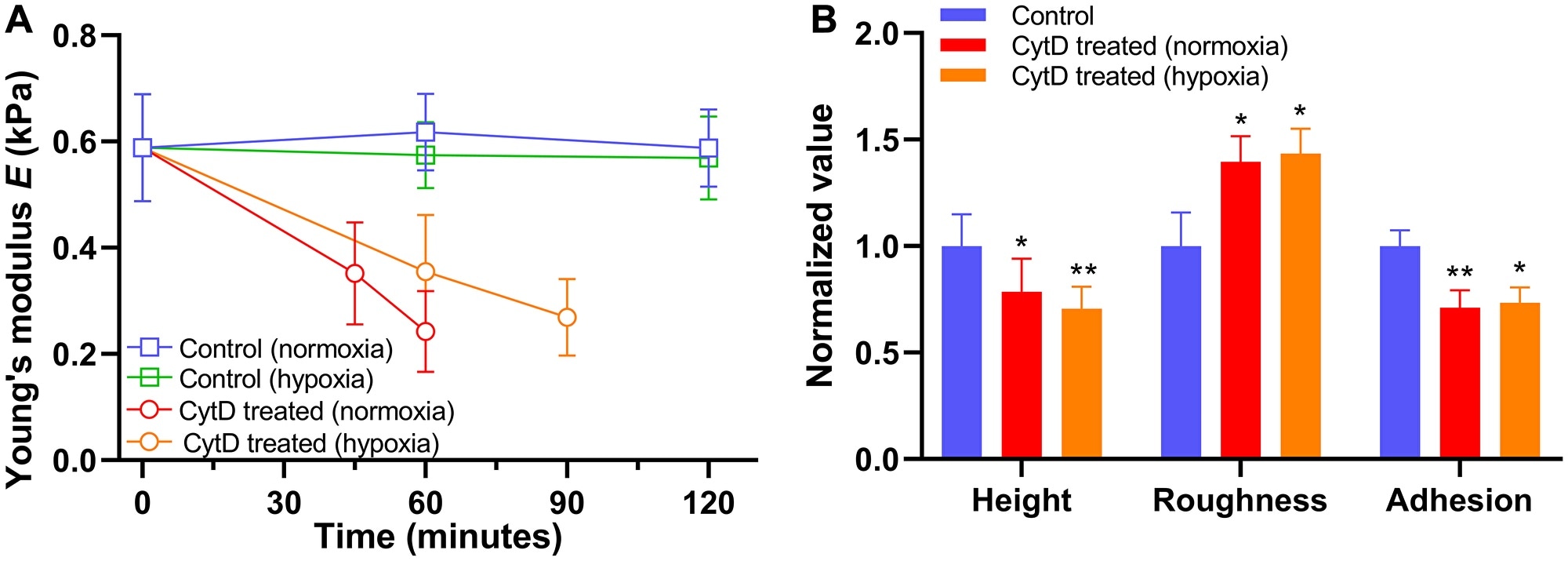 Study unravels the biomechanical, biophysical response of cancer cells to drugs