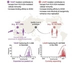 L452R mutation of SARS-CoV-2 spike protein is involved in cellular immunity evasion