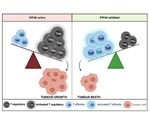 New advancement could improve immune system’s ability to search, destroy tumor
