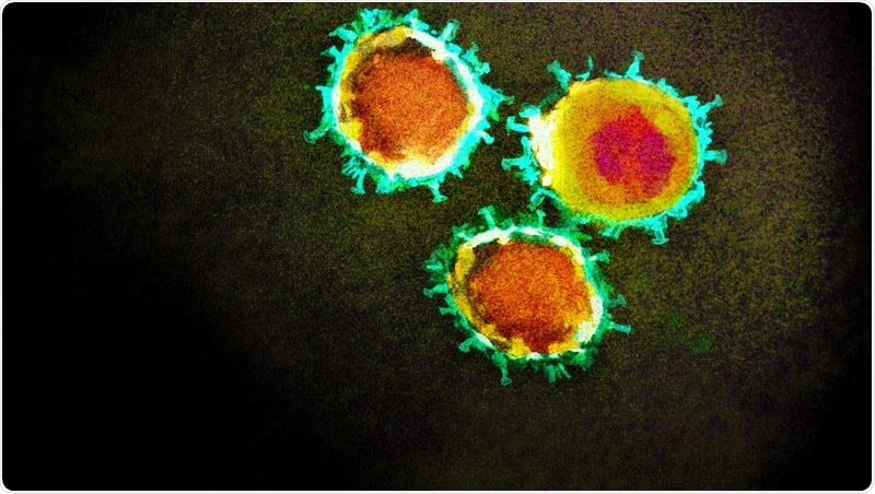 Study reveals SARS-CoV-2 variant is less sensitive to inhibition by antibodies
