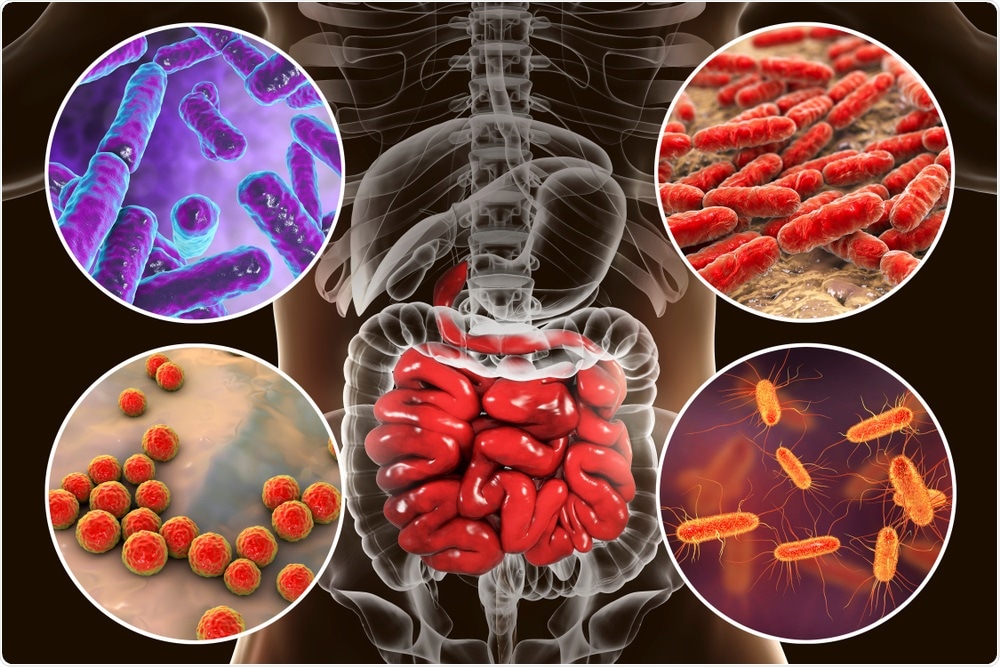 Gut Microbiome Gut Microbiome
