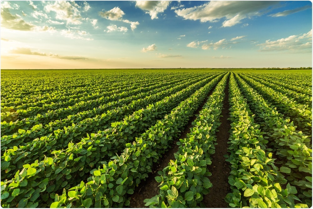 Agriculture Agriculture