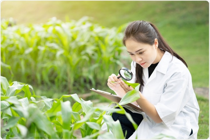 Plant Pathologist Plant Pathologist