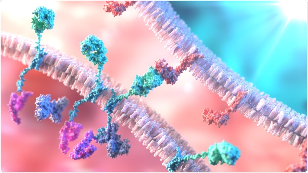Cell Therapy Cell Therapy