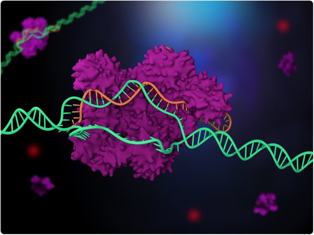 CRISPR/Cas9 CRISPR/Cas9