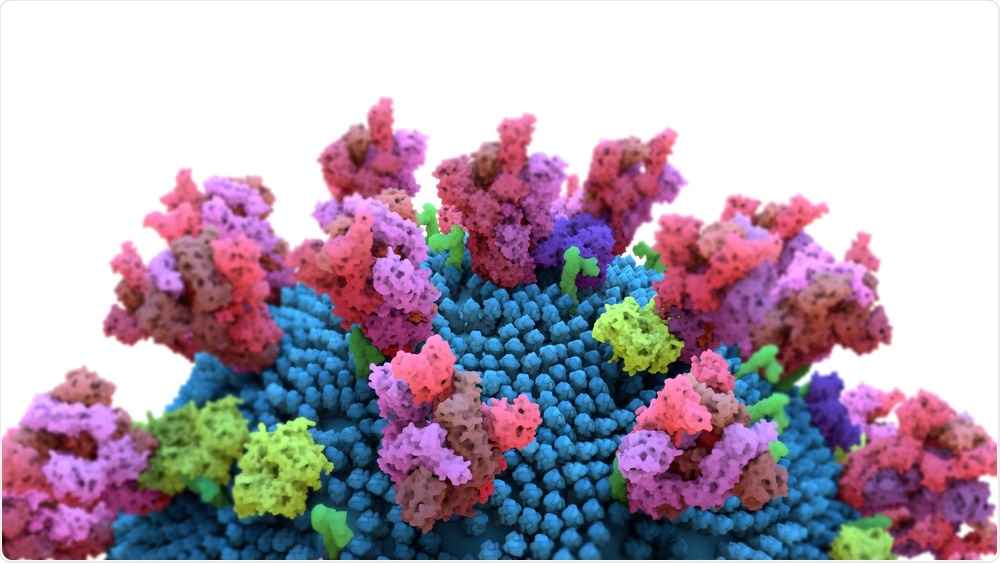 SARS-CoV-2 Spike Protein SARS-CoV-2 Spike Protein