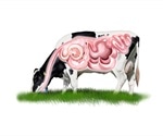 Microbes from cow’s rumen could be a sustainable means of plastic reduction