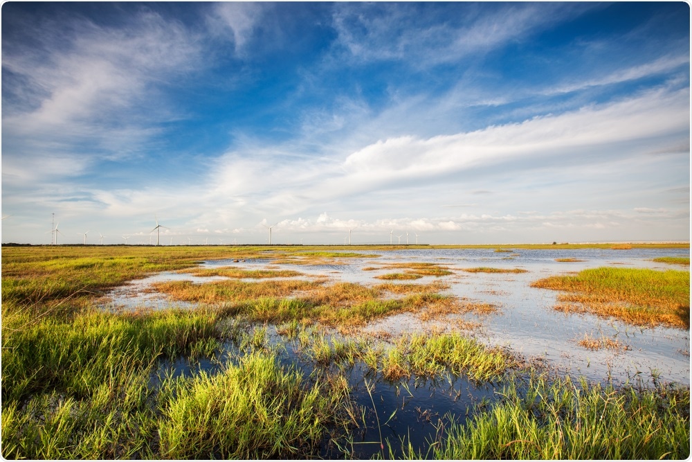 Wetlands Wetlands