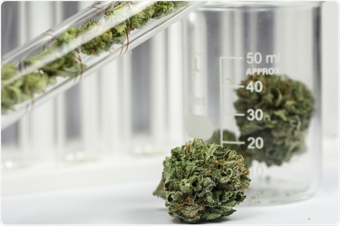 Cannabis Analysis Cannabis Analysis
