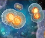 Study unravels vital mechanism coordinating cell division and adhesion in humans