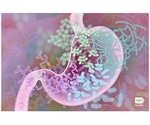 Study highlights the crucial role of food in regulating pathogen-related infections