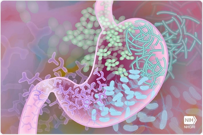 Study highlights the crucial role of food in regulating pathogen-related infections