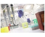 Researchers conduct molecular analysis of the 2021 Bundibugyo virus outbreak