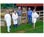 Study devises novel process to purify exosomes from cow’s milk