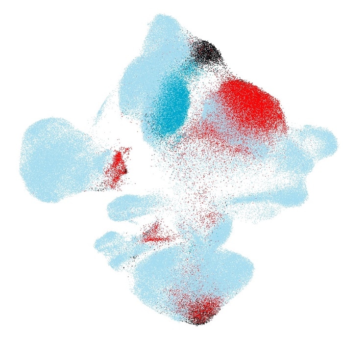 New algorithm can identify diseased cells for personalized treatment