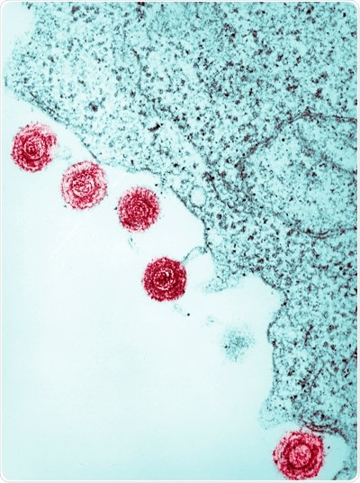 Researchers identify virus-derived variations in human genomes