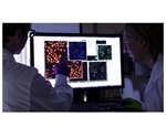 Study highlights novel approach for designing anti-viral drugs