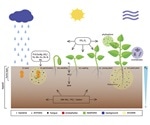 Novel tools can enhance plant root microbiome studies, concludes research