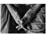 Research findings likely to enhance genome-based disease prediction