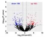 Study finds the link between circular RNA and alternative splicing in gastric cancer