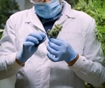 Analyzing Terpenes in Cannabis
