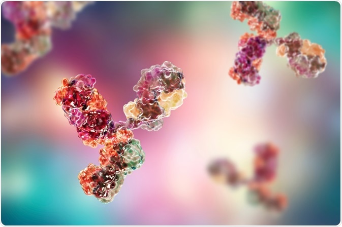 Antibodies Antibodies