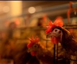 Rare variants in the MX1 gene increase susceptibility to zoonotic H7N9 avian influenza