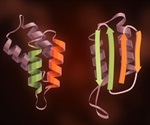 Study unravels new aspects of prions causing untreatable neurodegenerative conditions