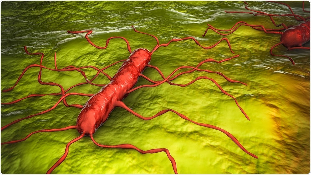 Listeria Monocytogenes Listeria Monocytogenes