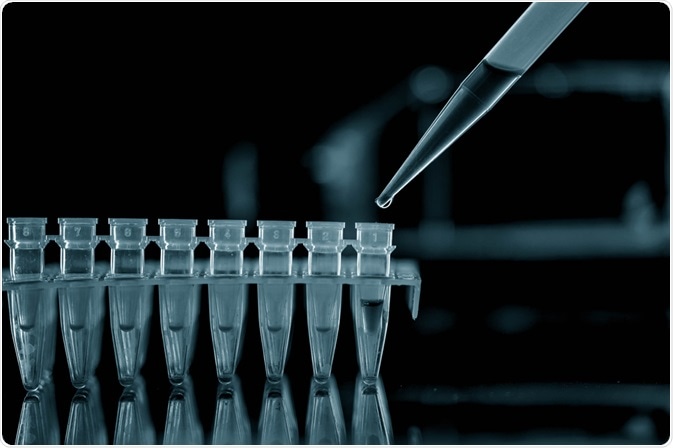 PCR Test PCR Test