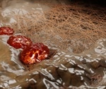 Insight into Tissue Repair and Regeneration
