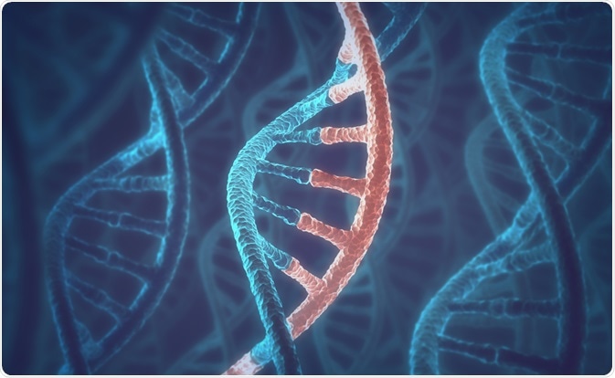 DNA/RNA Concept DNA/RNA Concept