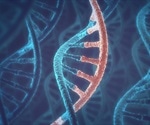 Role of RNA as a Drug Target