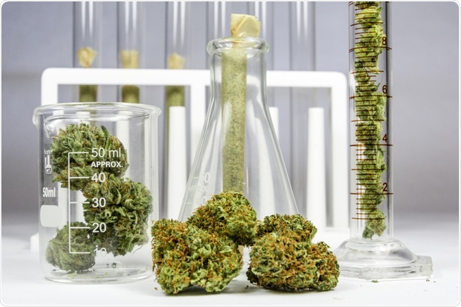 Cannabis Analysis Cannabis Analysis
