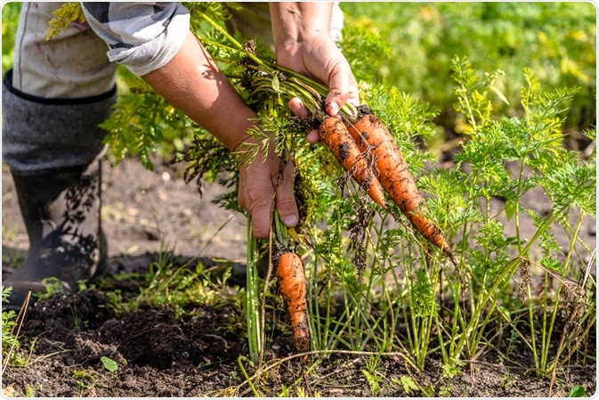 Food Production Food Production