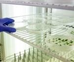 Scientists emphasize the need for commercialization in gene editing research