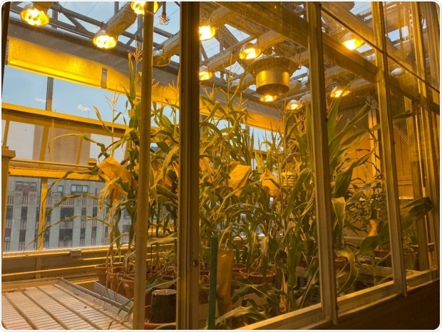 Study employs machine learning to predict outcomes in agriculture