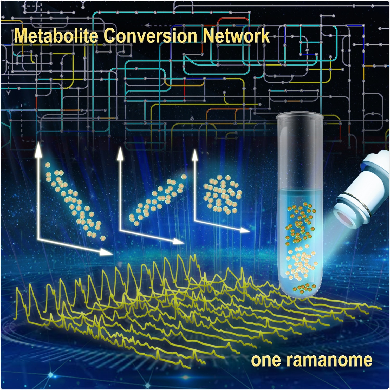 Novel technique to profile metabolic features using a single isogenic cell sample