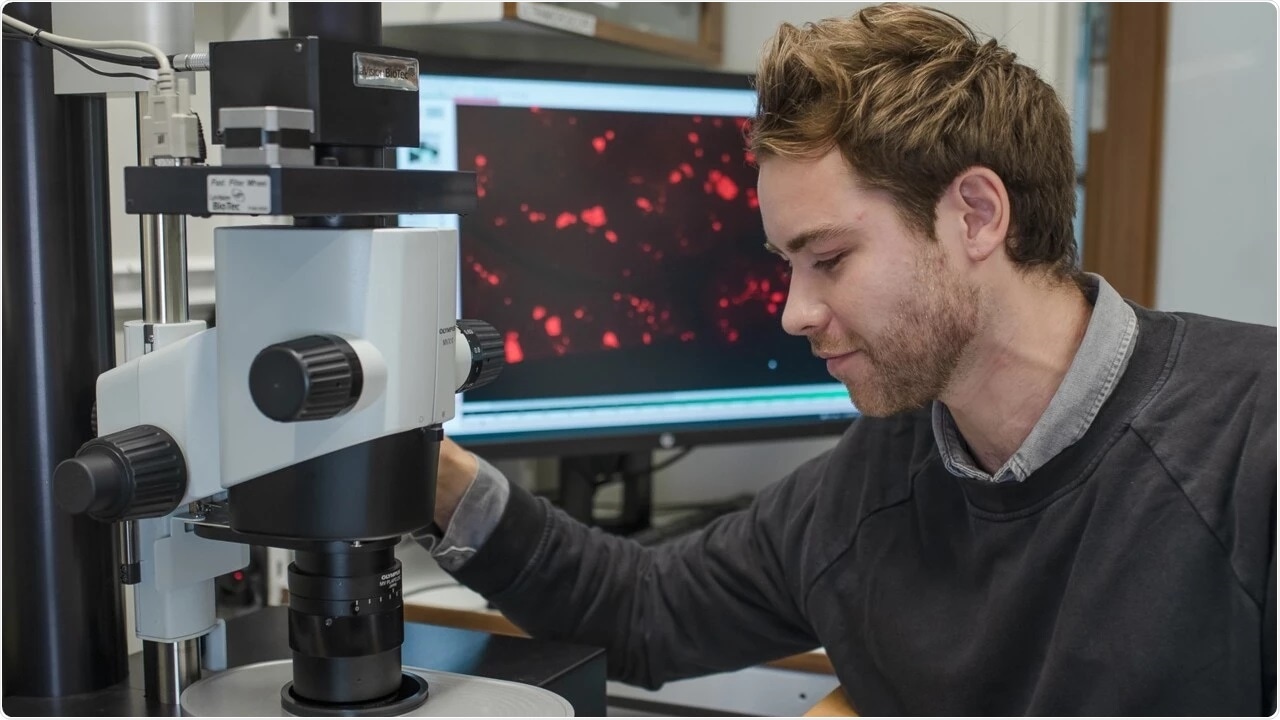 Novel process enables 3D imaging of human organs with micrometer resolution