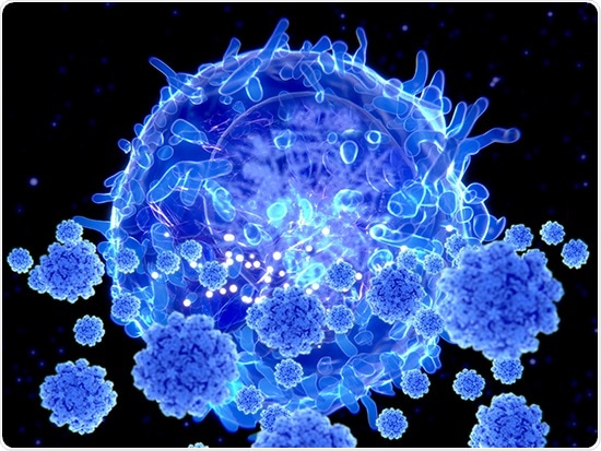 Research identifies an unnoticed site for priming of CD8+ T cells—the spleen