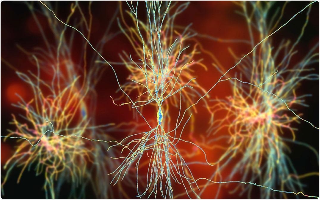 Automated computer program counts micronuclei from images of stained cells