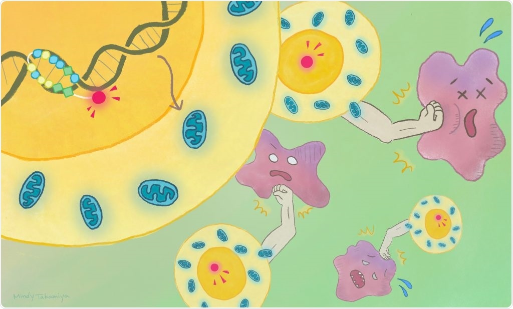 Scientists devise a strategy to enhance anti-tumor immunity