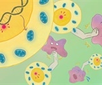 Scientists devise a strategy to enhance anti-tumor immunity