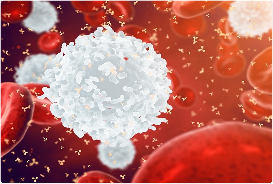 Master regulator behind the development of antibody-producing cells identified