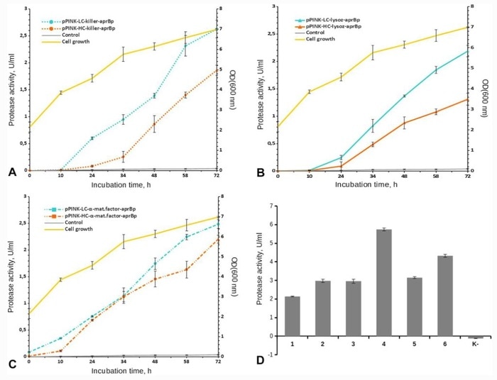 Study develops a highly efficient expression system for high protease yield