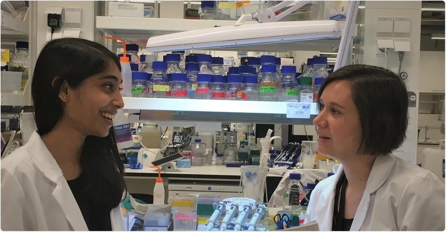 Study opens new avenues for therapies against Charcot-Marie-Tooth disease