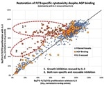 Study pinpoints means to restore the efficacy of drugs for acute myeloid leukemia
