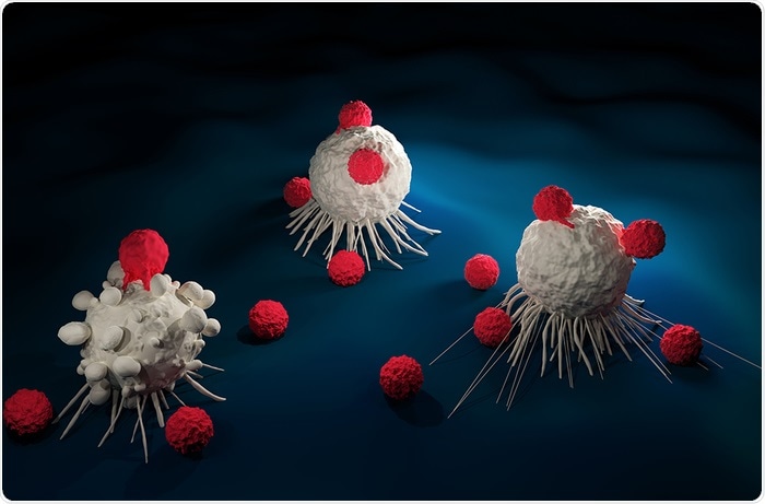 Researchers engineer CAR T cells to enhance their function