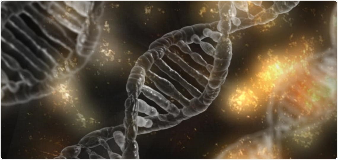 Research discovers how the KLF4 transcription factor influences gene expression