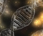 How does the KLF4 transcription factor influence gene expression?